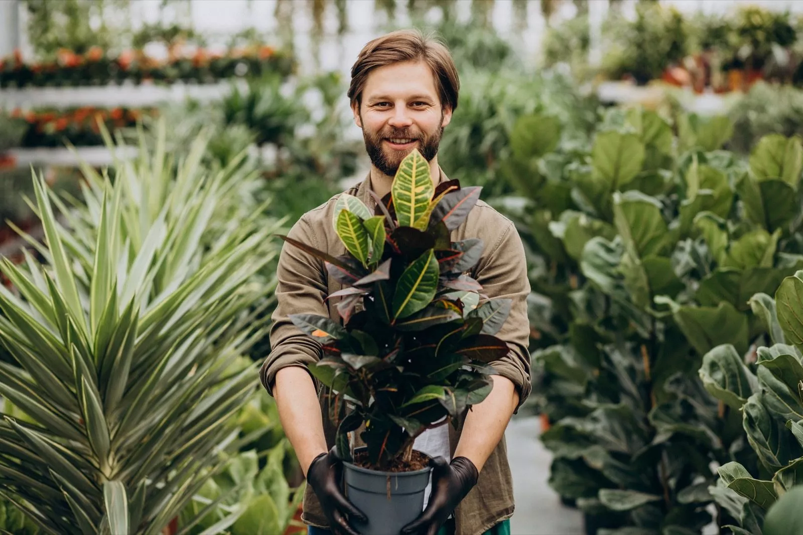 Plantaardigste florist heeft plant vast