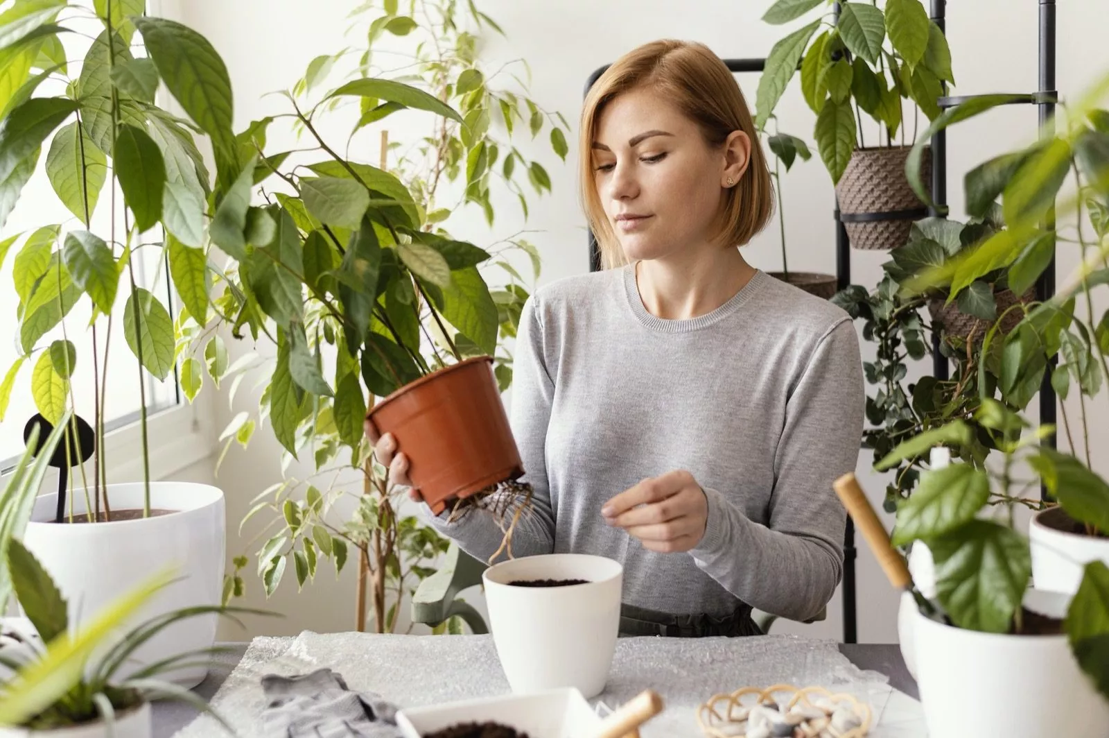 Plantaardigste vrouw pot een plant