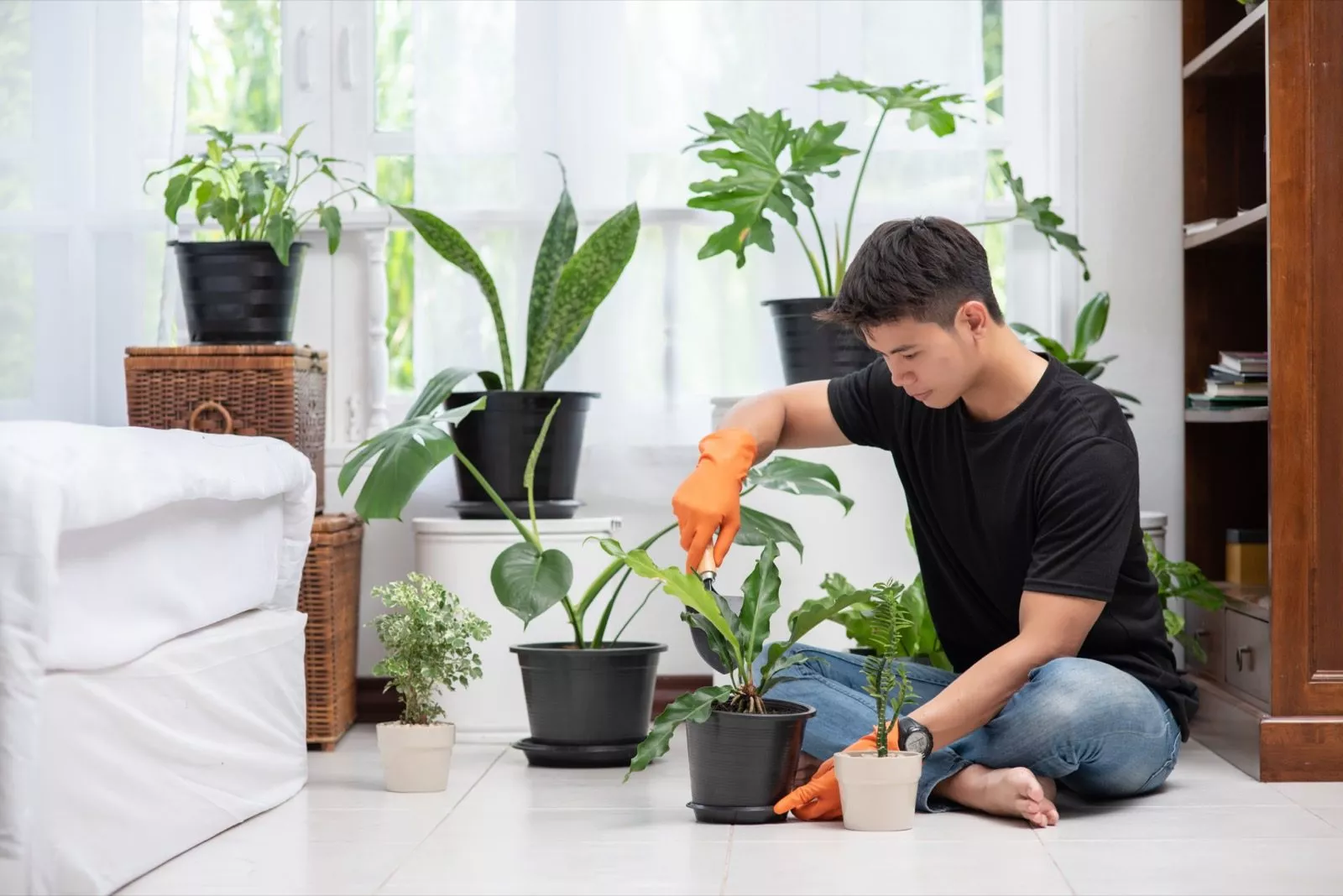 Plantaardigste man pot een plant