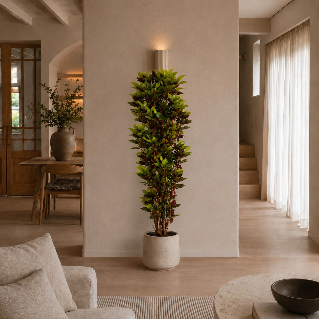 Codiaeum Iceton (Croton Iceton) – 190 cm