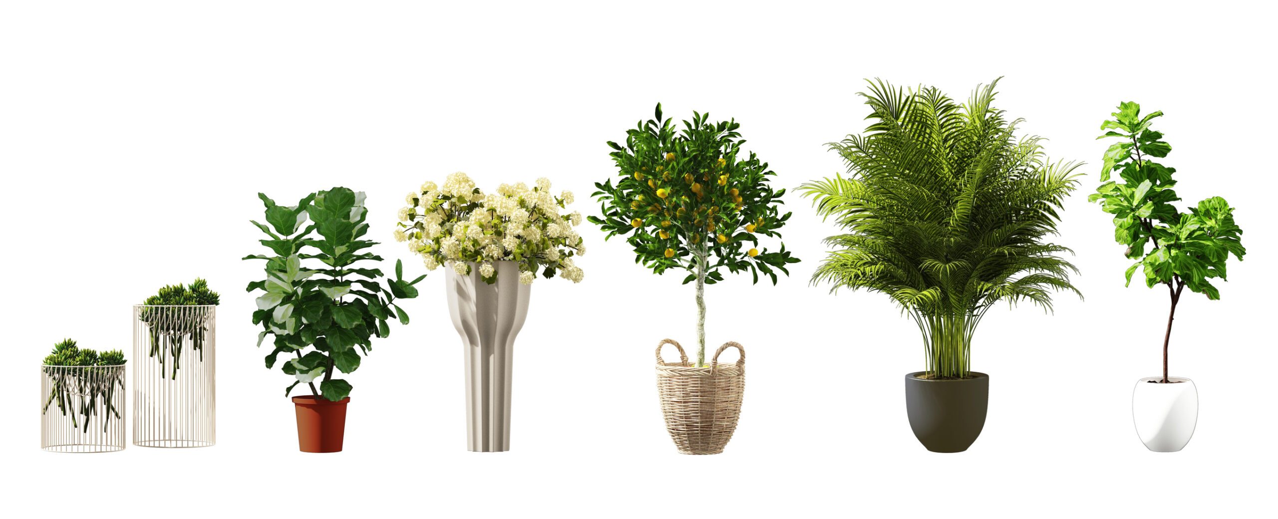 Plantaardigste Philodendron Green Beauty verzorgingstips - Plantaardigste