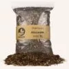 Alocasia mix 5 Liter