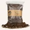 Ficus mix 5 Liter