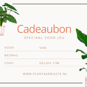 Waardebon - €100,00