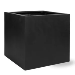 Block Black