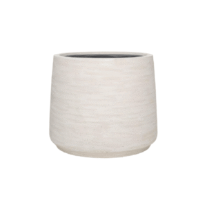 Jumbo Patt Ivory Washed - D93xH77