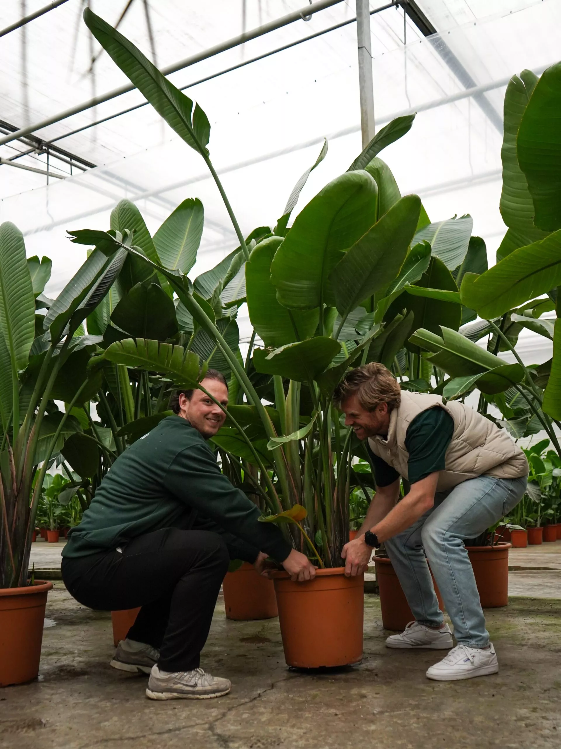 Ward en Danny die een grote plant willen optillen.