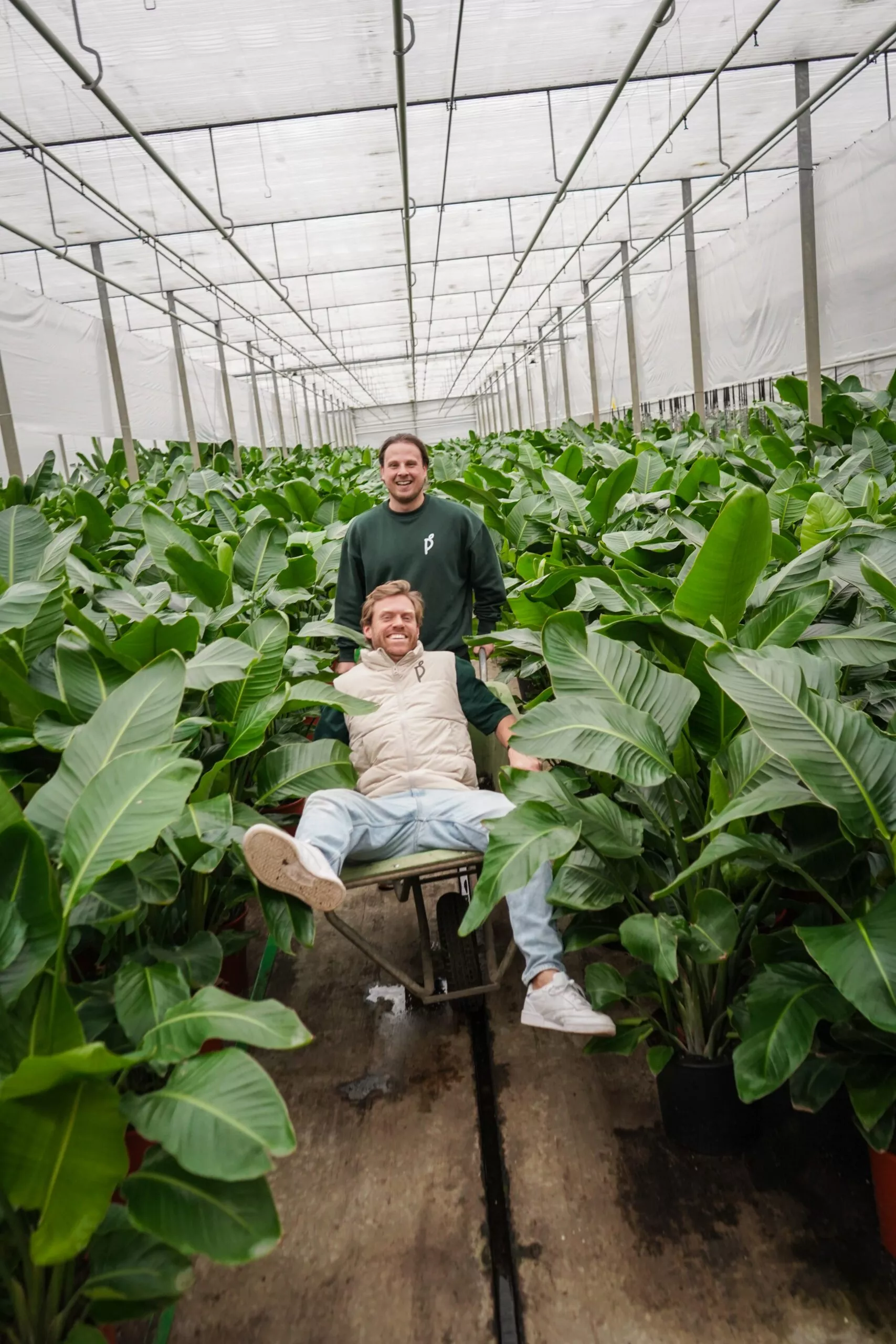 Ward en Danny in een kruiwagen