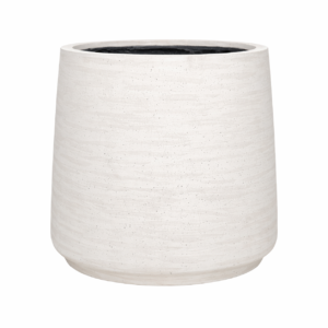 Jumbo Patt Ivory Washed