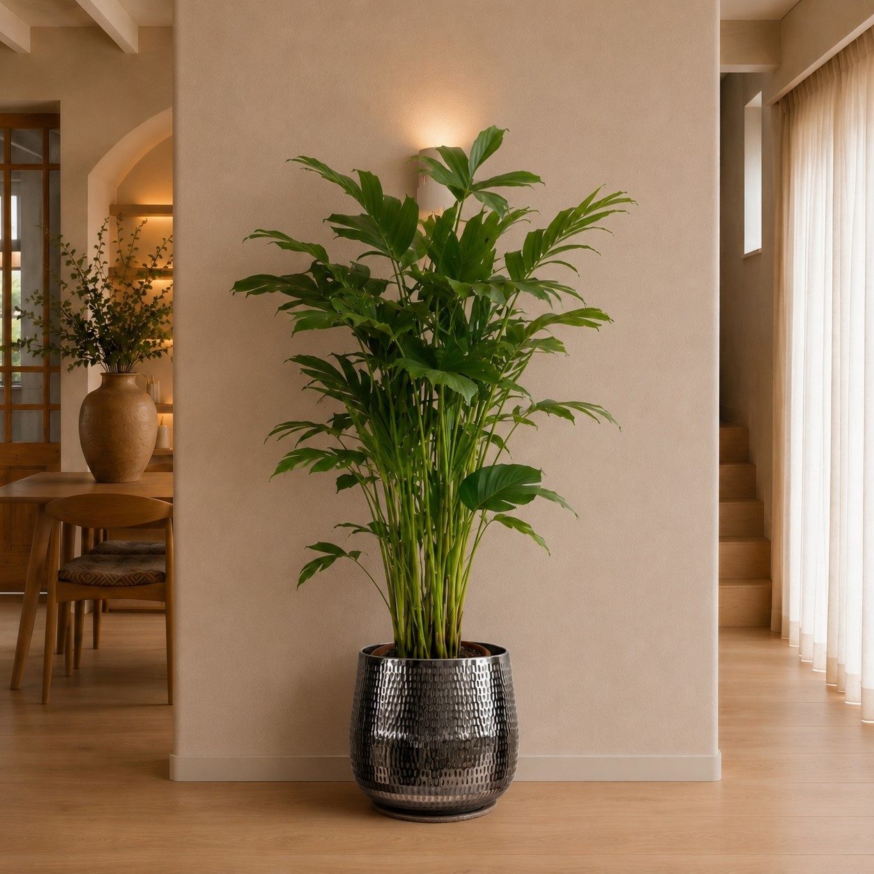 Caryota Mitis - 150 cm
