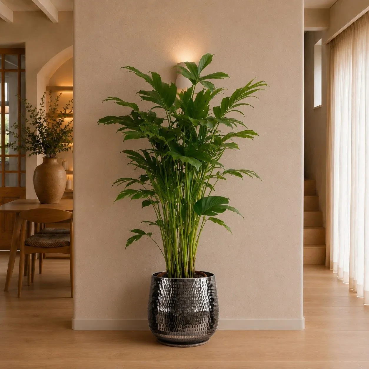Caryota Mitis - 150 cm