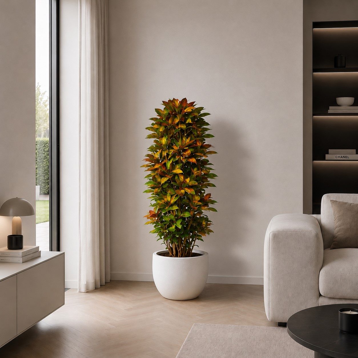 Codiaeum Iceton – 230 cm Codiaeum Iceton – 230 cm