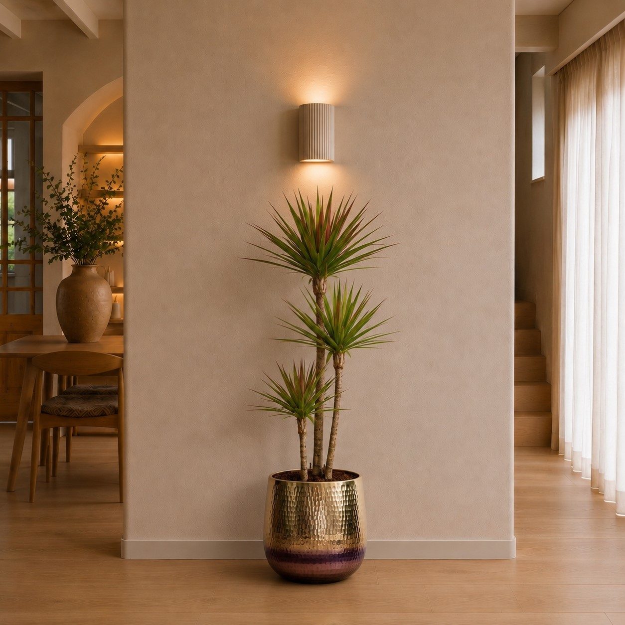 Dracaena Cintho - 160 cm Dracaena Cintho - 160 cm