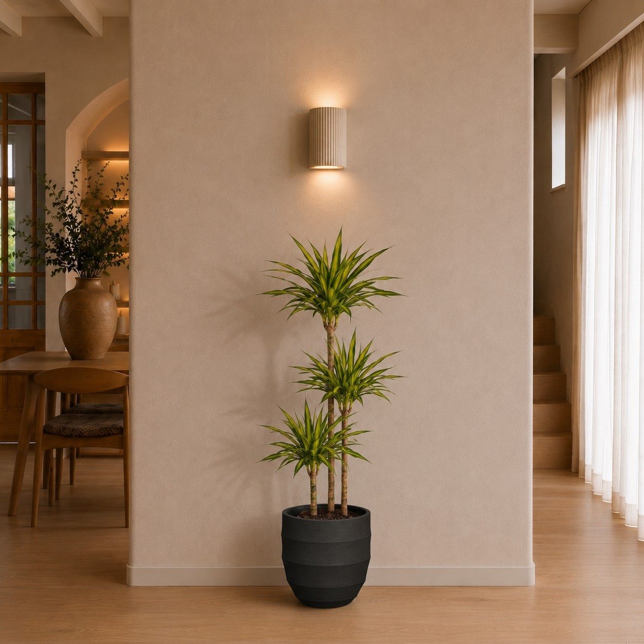 Dracaena Riki - 140 cm