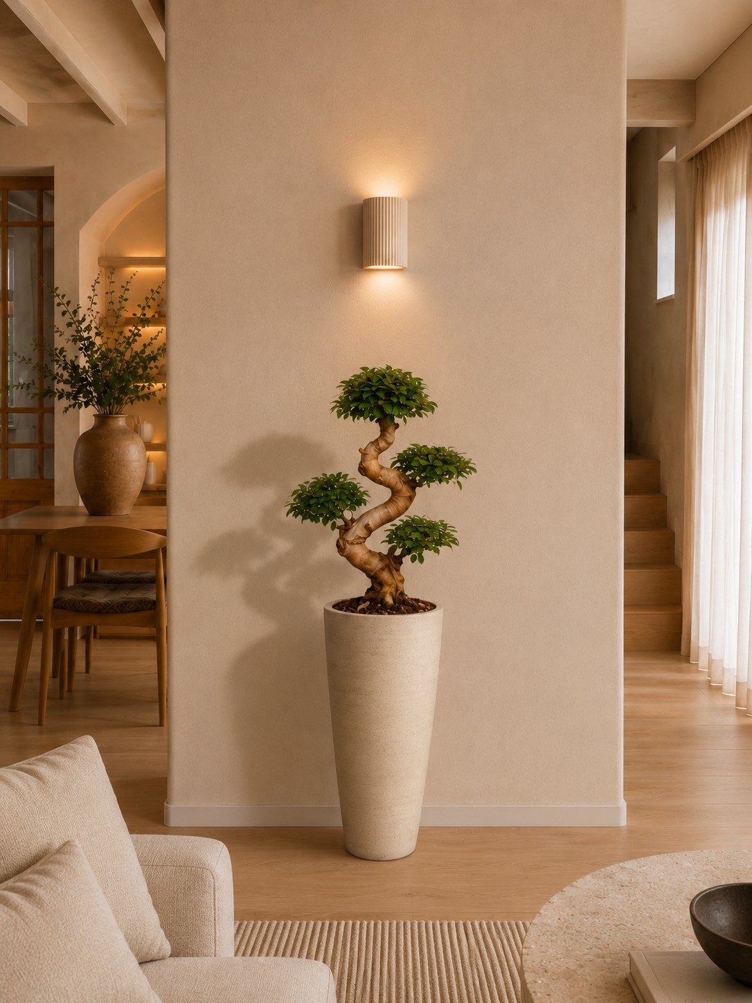 Ficus Microcarpa Ginseng - 80 cm Ficus Microcarpa Ginseng - 80 cm