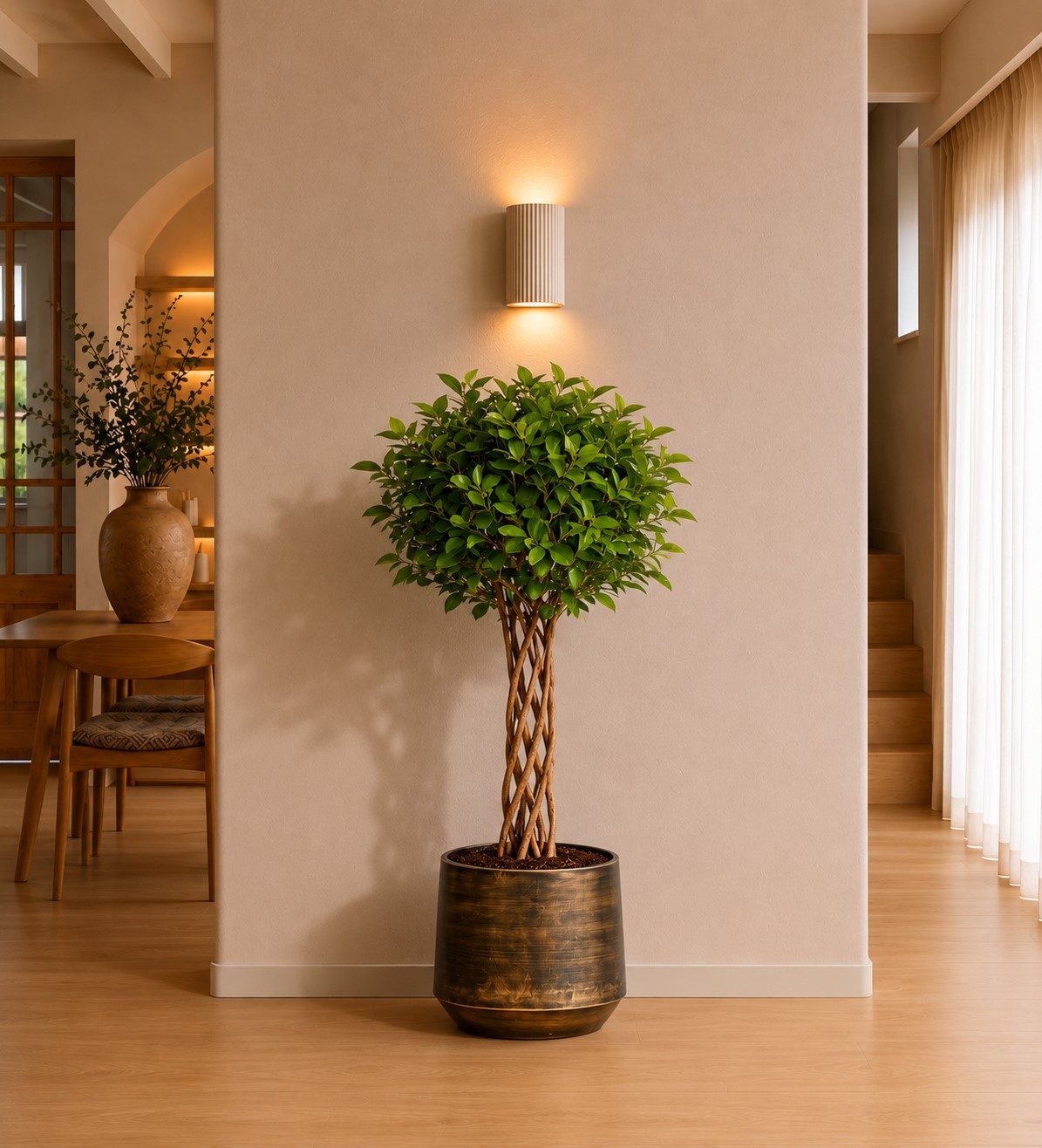 Ficus Moclame gevlochten cilinder – 120 cm Ficus Moclame gevlochten cilinder – 120 cm