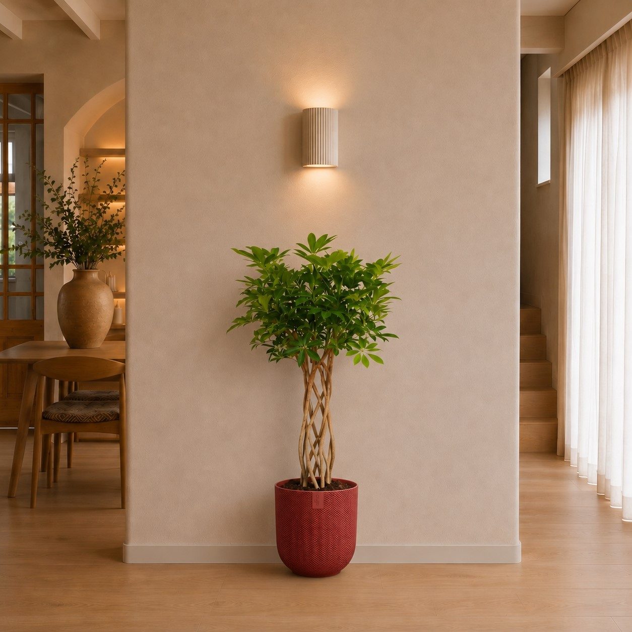 Schefflera Arboricola Compacta gevlochten stam - 130 cm Schefflera Arboricola Compacta gevlochten stam - 130 cm