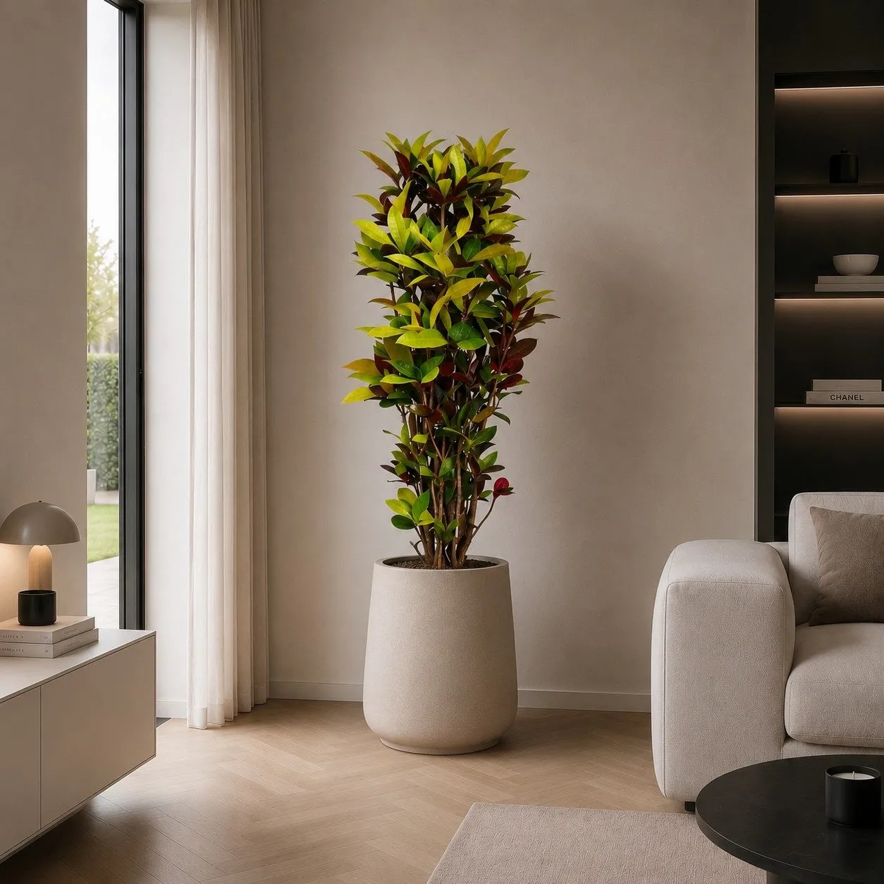 Codiaeum Iceton (Croton Iceton) – 190 cm