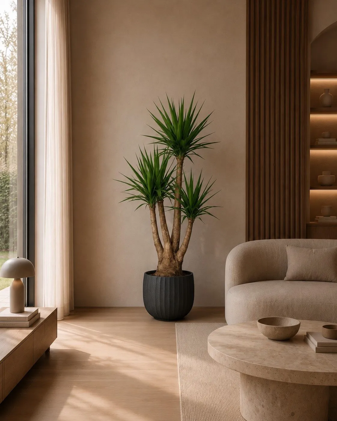 Yucca Elephantipes vertakt – 170 cm